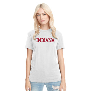 Indiana Basic Block NLA Triblend T-Shirt - Heather White