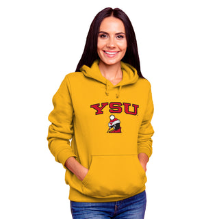 Youngstown Penguins Arch Logo Hoodie