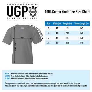 Maine Black Bears Arch Logo Youth T Shirt - Sport Grey