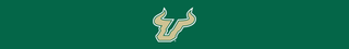 University of South Florida