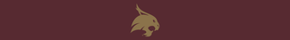 Texas State