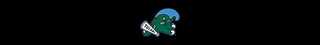 Tulane University
