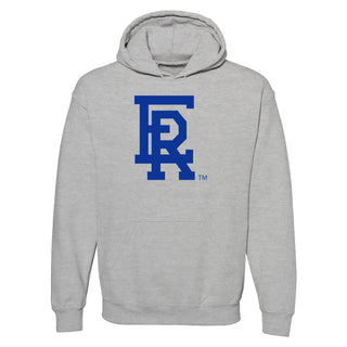Embry-Riddle Aeronautical University Eagles Daytona Primary Logo Hoodie - Sport Grey