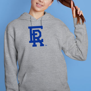 Embry-Riddle Aeronautical University Eagles Daytona Primary Logo Hoodie - Sport Grey