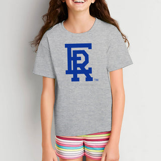 Embry-Riddle Aeronautical University Eagles Daytona Primary Logo Youth T Shirt - Sport Grey