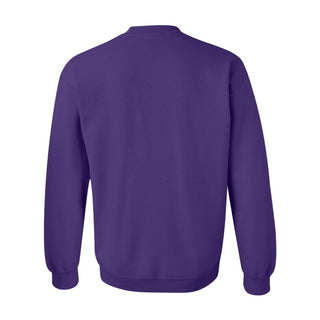 Hunter College Hawks Basic Block Crewneck Sweatshirt - Purple