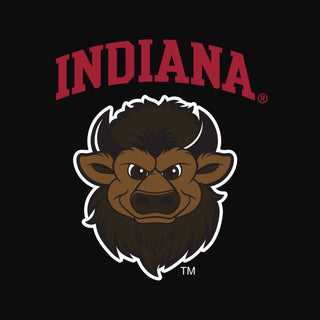 Indiana Bison Head LC EMB JA BTB 1/4-Zip Sweatshirt