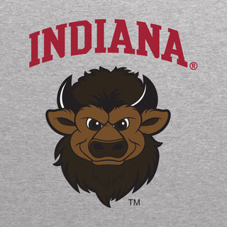 Indiana Bison Head LC EMB JA BTB 1/4-Zip Sweatshirt