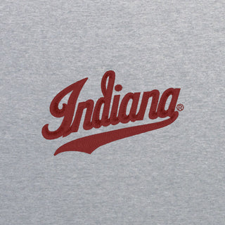 Indiana Script Logo EMB BTB 1/4 Zip
