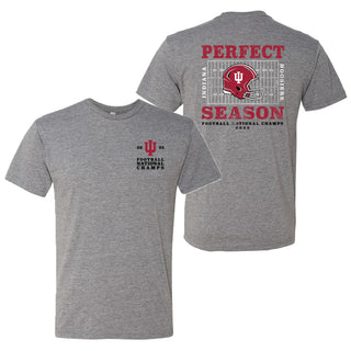 Indiana Perfect Season National Champions 2025 NLA Triblend T-Shirt - Premium Heather
