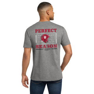Indiana Perfect Season National Champions 2025 NLA Triblend T-Shirt - Premium Heather