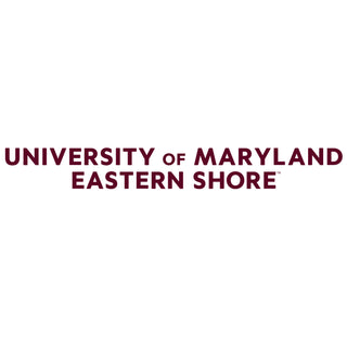 Maryland Eastern Shore Hawks Basic Block Hoodie - White