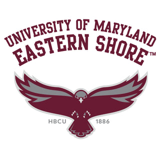 Maryland Eastern Shore Hawks Arch Logo Youth T-Shirt - White