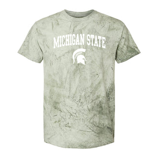 Michigan State Arched Colorblast Heavyweight T-Shirt - Fern