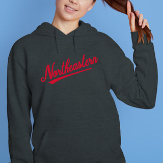 Northeastern University Script Logo Hoodie - Dark Heather