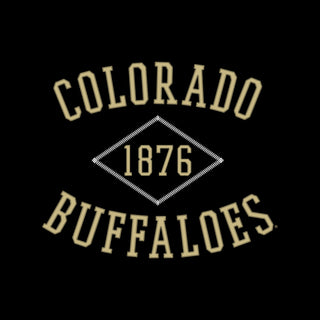 Colorado Faux Stitch Arch Hoodie - Black