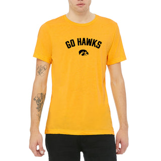 Iowa Go Hawks Arc Canvas Triblend T-Shirt