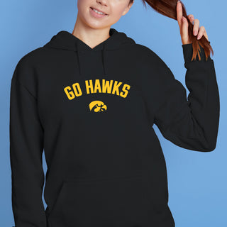 Iowa Go Hawks Arc JA BTB Fleece Hoodie - Black
