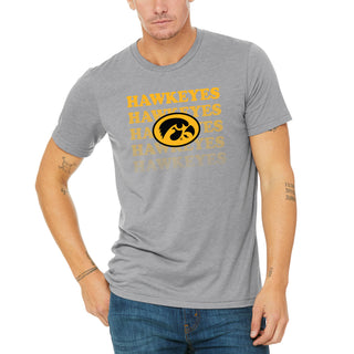 Iowa Graded Repeat Triblend T-Shirt - Premium Heather