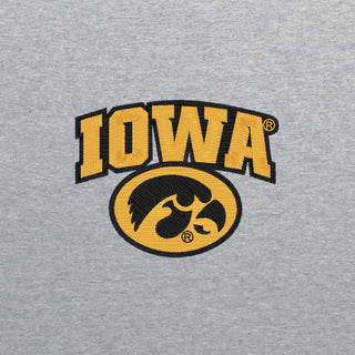 Iowa Arch Logo EMB BTB 1/4 Zip