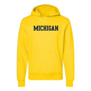Michigan Basic Block Hoodie