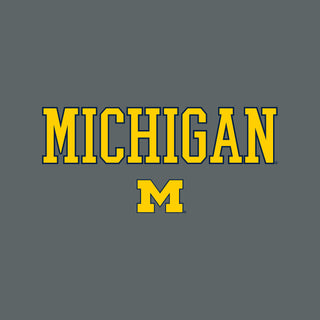 Michigan Rundown Apex Fleece Hood - Steel