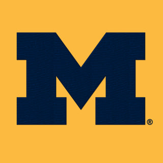 Michigan Primary Logo Dad Hat