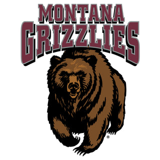 Montana Grizzlies Arch Logo Youth T-Shirt