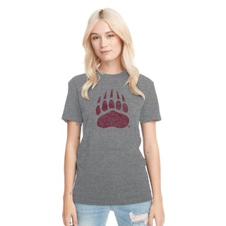 Montana Grizzlies Primary Logo Distressed Triblend T-Shirt