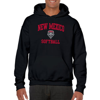 New Mexico Lobos Arch Logo Softball Hoodie - Black