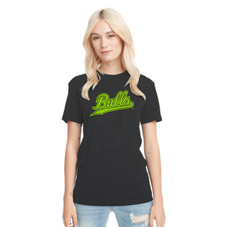South Florida Script Logo Triblend T-Shirt - Vintage Black