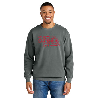 Nebraska State Shapes Garment-Dyed Crewneck - Grey