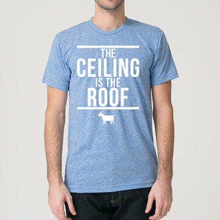 The Ceiling Is The Roof - Blue Triblend