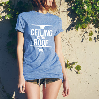 The Ceiling Is The Roof - Blue Triblend