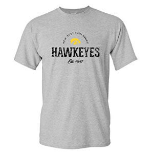 University of Iowa Hawkeyes Established Arch Short Sleeves T Shirt - Sport Grey