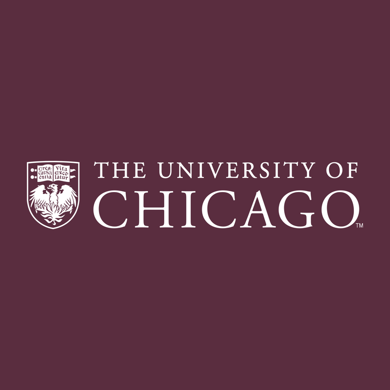 University of Chicago Maroons Institutional Logo Long Sleeve T Shirt - Maroon