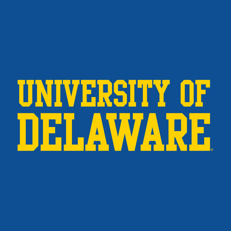 Delaware Blue Hens Basic Block Womens T Shirt - Royal